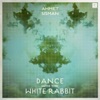 Dance With the White Rabbit