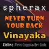 Vinayak A - Never Turn Your Back