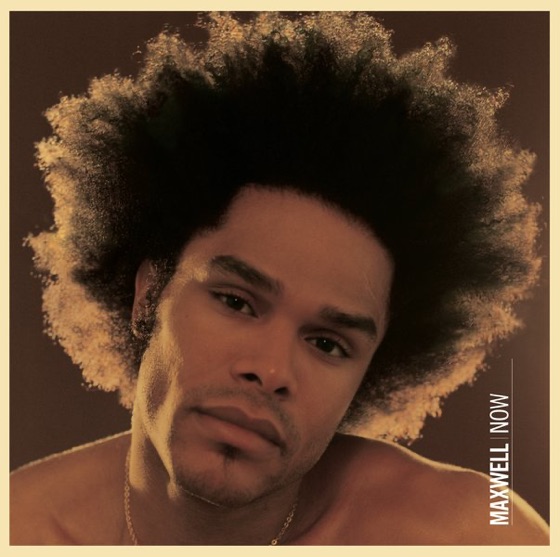 Cover artwork for Temporary Nite