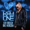 Ich brech die Herzen (Album Version) - Kay One lyrics