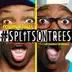 #SplitsOnTrees (feat. Unterreo Edwards) song reviews