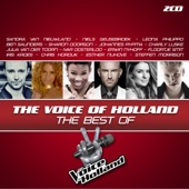Could You Be Loved (The Voice of Holland) artwork