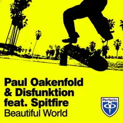 Beautiful World (feat. Spitfire) [Radio Edit] Song Lyrics
