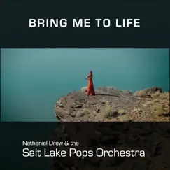 Bring Me To Life (feat. Kerstin Tenney) - Single by Nathaniel Drew & Salt Lake Pops Orchestra album reviews, ratings, credits