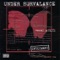 Lil Mama - Under Survalance lyrics