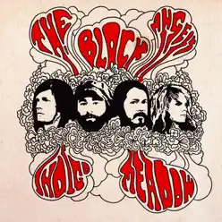 Indigo Meadow - The Black Angels