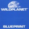 Input Output - Wild Planet lyrics