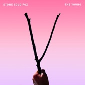 Stone Cold Fox - pictures
