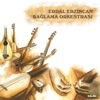 Bağlama Orkestrası