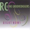 Liana - RC and the Groovediggers lyrics