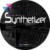 Synthetizer (Daniele Ravaioli Deep Mix) artwork