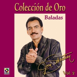 Joan Sebastian - Hasta Que Amanezca