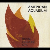 American Aquarium - Lonely Ain't Easy