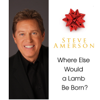 Steve Amerson - Where Else Would a Lamb Be Born?  artwork