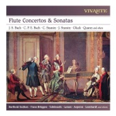 Concerto in E Minor for Flute, Strings, and Basso continuo: I. Allegro moderato artwork