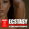 Ecstasy - Hot Club Tracks 4 the Party People, Vol. 1, 2013