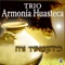 La Comadre Chencha - Trio Armonia Huasteca lyrics