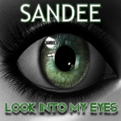 Look Into My Eyes (Stefano Valli Radio Edit) artwork