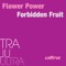 Forbidden Fruit (Bellatrax Club Mix) - Flower Power lyrics