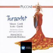 Turandot (1988 Remastered Version), Act I: Ah! per l'ultima volta! (Timur, Liù, Ministers, Calaf, All others) artwork