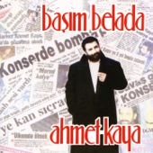 Başım Belada artwork