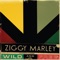 Changes (feat. Daniel Marley) - Ziggy Marley lyrics
