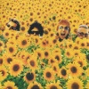 Flowers In the Park - Single