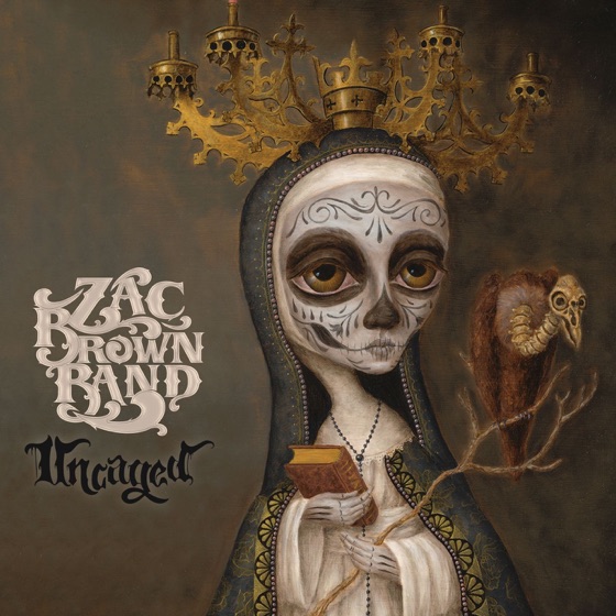 Cover artwork for Natural Disaster