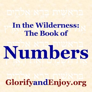 Numbers 36
