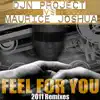 Feel for You 2011 Remixes album lyrics, reviews, download
