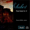 Schubert: Octet; Piano Sonata No. 13 artwork