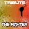 The Fighter - Pop Tracks lyrics