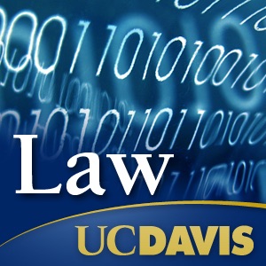 Law in the Information Age cover