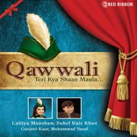 Various Artists - Qawwali..teri Kya Shaan Maula artwork