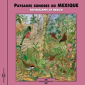Paysages sonores du Mexique (Soundscapes of Mexico) artwork