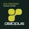 Vicious Circles (Max Graham Remix) - Poltergeist lyrics