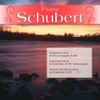 Franz Schubert - Schubert: Piano Sonata No.4 In A Minor, D.537 - 2. Allegretto quasi andantino