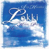 Lokki artwork