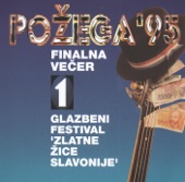 Zlatne Žice Slavonije - Požega '95 (I)