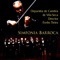 Simfonia Barroca: II. Largo - Orquestra de Cambre de Vila-Seca & Evelio Tieles lyrics