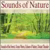 Sounds of Nature: Sounds of the Forest, Ocean Waves, Echoes of Nature, Distant Thunder album lyrics, reviews, download