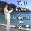 Stranger on the Shore album lyrics, reviews, download