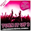 Turn It Up - Progressive Festival Anthems, Vol. 3, 2012