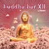 Ornella Vanoni - Perduto (Buddha Bar XII club Mix)