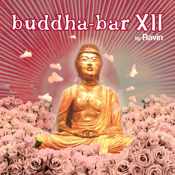 Cover artwork for Ended With The Night
