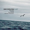 Flight (feat. Brodowski String Quartet, Marius Neset, Dave Kane & Olavi Louhivuori)