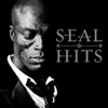 Seal: Hits (Deluxe Version) artwork