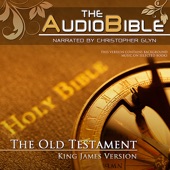 Audio Bible Old Testament .15 - Amos - Obadiah - Jonah - Micah - Nijam artwork