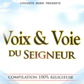 Voix et voie du Seigneur (Compilation 100% religieuse) artwork