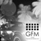 Shaolin (GFM Mix) - DJ Mishakov lyrics